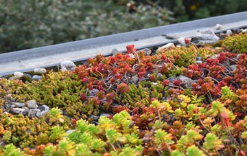 the cost of Ashbury green roof installation