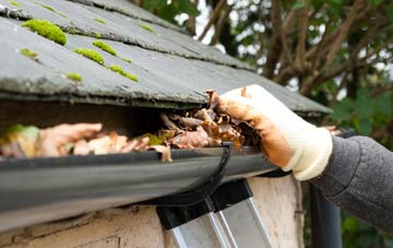 gutter cleaning Ashbury