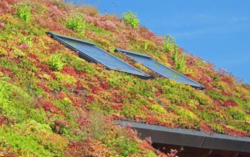 Ashbury living roof systems