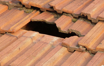 roof repair Ashbury